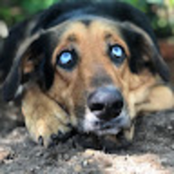 Meet your Posher, Tim - Picture 1 of 1